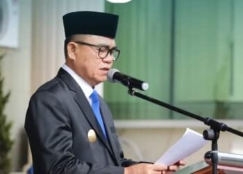 Pjs Wali Kota Bukittinggi Pimpin Upacara Peringatan Hari Pahlawan Nasional ke-79