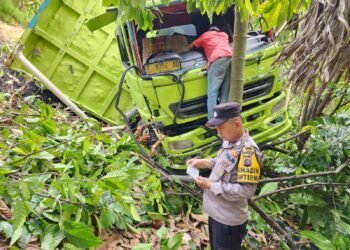 Kronologi Kecelakaan Truk Muatan Batu Bara Terjun ke Jurang di Sitinjau Lauik