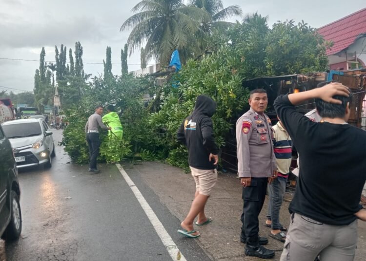 Kecelakaan di Jalan Raya Padang-Bukittinggi tepatnya di Pendakian Puncak Kiambang Kabupaten Padang Pariaman pada Minggu sore (17/11/2024).