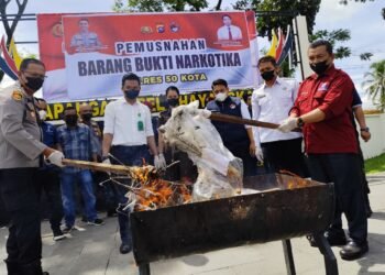 Seorang Petani Limapuluh Kota Tanam Ratusan Pohon Ganja di Ladang