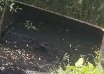 Truk Muatan Batu Bara Terjun Bebas ke Jurang di Sitinjau Lauik