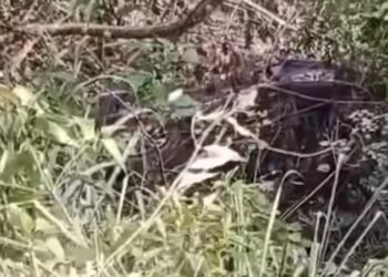 Jalan Licin dan Tikungan Tajam, Pajero Terjun Bebas ke Jurang di Kabupaten Solok