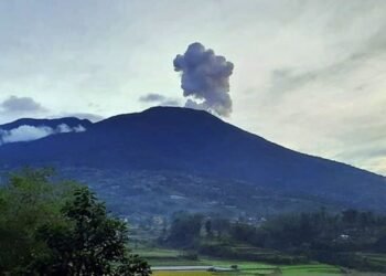Jalur Evakuasi Warga di Sekitar Puncak Gunung Marapi Masih Rusak