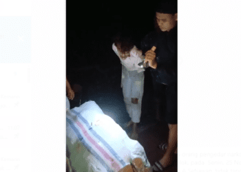 Penyeludupan Narkoba di Sumbar, Ditemukan 4 Karung Ganja Seberat 228 Kilogram