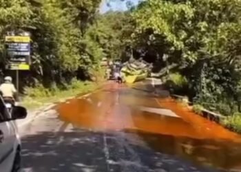 Video: Truk CPO Terbalik di Jalan Raya Padang-Painan, Muatan Tumpah Ruah