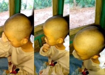 Viral Siswi SD Digunduli Guru di Sekolah gegara Banyak Kutu