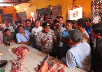 Pj Wali Kota Payakumbuh Tinjau Pasar Ibuh Tindaklanjuti Isu Beredarnya Daging Sapi Positif Rabies, Pastikan Daging yang Beredar Aman