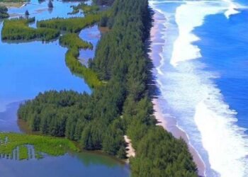 Mengenal Desa Wisata Ampiang Parak Juara III Nasional ADWI 2024, Ekowisata di Pesisir Selatan