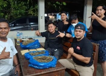 Seorang Pemuda di Padang Ditangkap Polisi, 2 Kilogram Ganja Disita