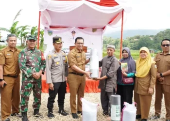 Dukung Petani Cabai, Pemko Padang Panjang Salurkan Bantuan Sarana Produksi