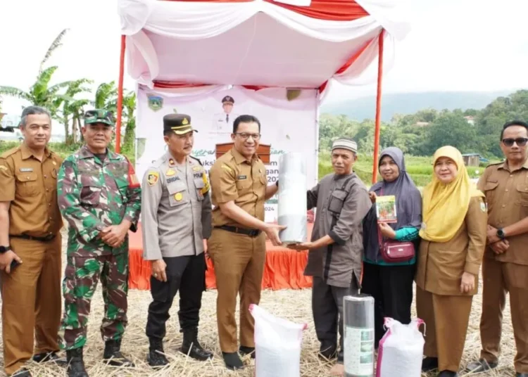 Pemerintah Kota Padang Panjang melalui Dinas Pangan dan Pertanian (Dispangtan) salurkan paket bantuan sarana produksi untuk Gerakan Tanam Cabai, di Hamparan Sigata, Kelurahan Ganting, Selasa (10/12/2024).