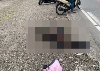 Kecelakaan Tragis di Jalan Raya Padang-Bukittinggi, Pemotor Tewas Dilindas Truk