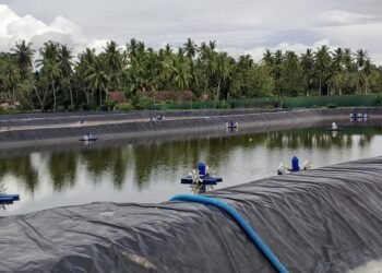 Keluarga Laporkan Pemilik Tambak Udang ke Polisi Terkait Dua Bocah Tewas Tenggelam di Tambak