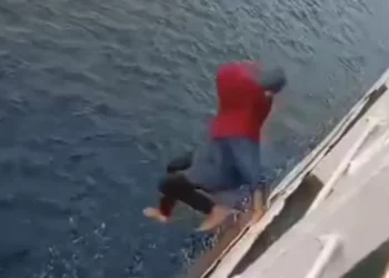 Viral! Aksi Penumpang Kapal Meloncat ke Laut