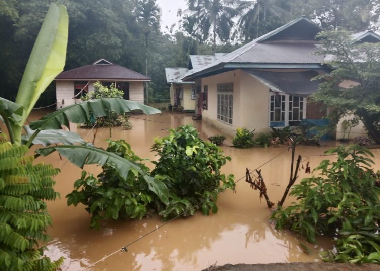 Banjir di Pesisir Selatan, Senin (2/12).