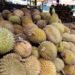 Jualan di Jalur Padat Lalu Lintas, Pedagang Durian di Bukittinggi Ditertibkan