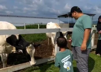 Pantai hingga Museum, Ini Rekomendasi 5 Tempat Wisata Keluarga di Sumbar