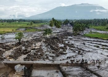 Pemulihan Lahan Pertanian yang Rusak Terdampak Banjir Lahar Dingin Gunung Marapi Sudah 50 Persen