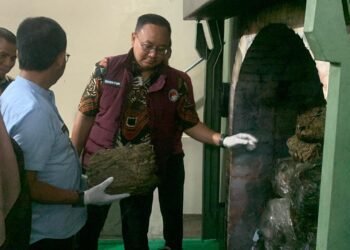 260 Kilogram Ganja Sitaan Polda Sumbar Dimusnahkan dengan Metode Kremasi