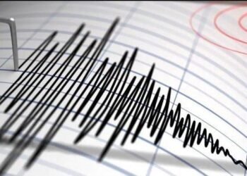 Gempa Magnitudo 5,0 Guncang Pariaman Hari Ini, Apakah Berpotensi Tsunami?