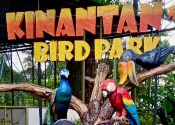 Pemko Bukittinggi Bangun WC di Kebun Binatang, Gelontorkan Dana Rp335 Juta