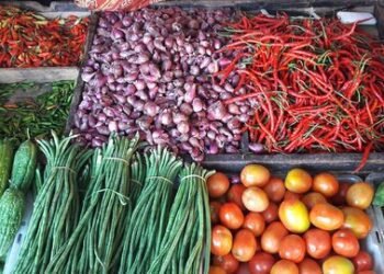 Harga Pangan dan Bahan Pokok di Bukittinggi Mengalami Kenaikan