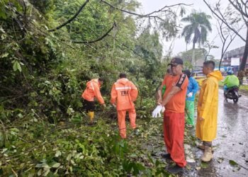 Hujan Deras Landa Kota Padang Seharian, Pohon Tumbang Hambat Jalan Banda Buek-Indarung