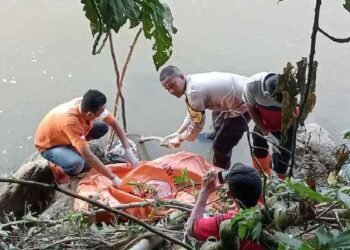 Geger Penemuan Jasad Bayi di Sungai Dharmasraya, Diduga Dibuang