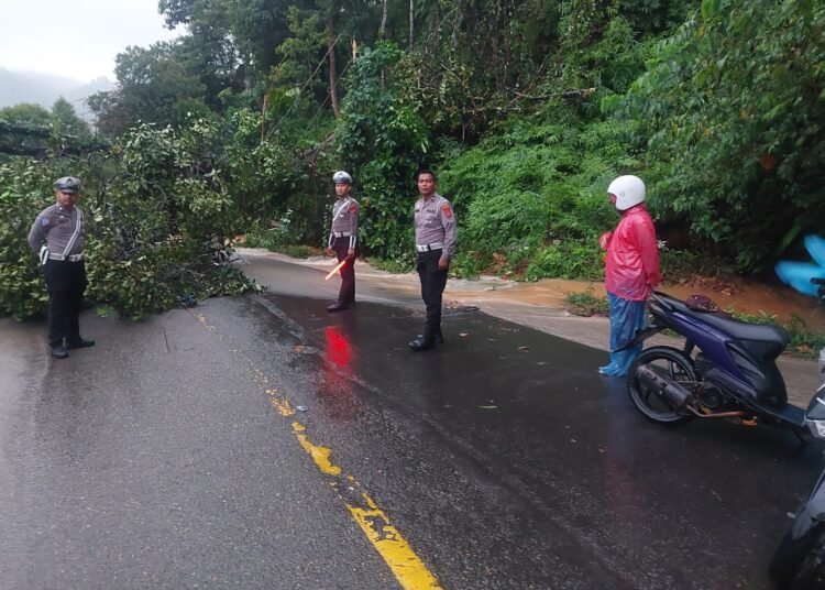 Pohon tumbang dan longsor pada Jumat (17/1/2025) pukul 17.00 WIB menutup jalan lintas Sumatera di Bukit Pulai, Kampung Jalamu, Nagari IV Koto Hilia, Kecamatan Batang Kapas, Pesisir Selatan. FOTO: Dokumentasi Polres Pesisir Selatan.