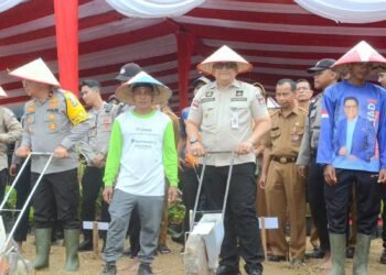 Pemko Padang Dukung Penanaman Jagung 1 Juta Hektar untuk Ketahanan Pangan