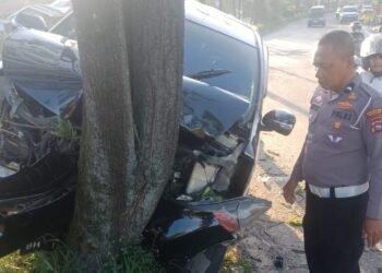 Kronologi Kecelakaan Tunggal di Padang, Mobil Tabrak Pohon hingga Ringsek