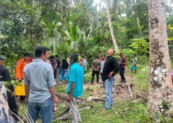 Pria Muda Ditemukan Meninggal di Kebun Padang Pariaman, Ini Penjelasan Polisi