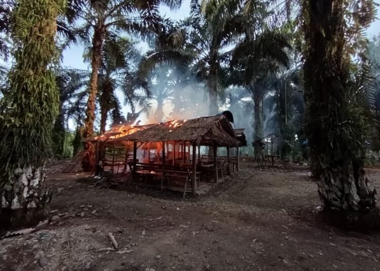 Massa membakar sejumlah kafe di Jorong Air Runding, Nagari Koto Nan Duo, Kecamatan Koto Balingka, Kabupaten Pasaman Barat pada Sabtu (18/1/2025) sore.