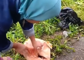 Warga Digegerkan Penemuan Jasad Bayi dalam Kantong Kain di Limapuluh Kota