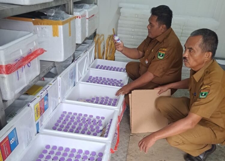 Vaksin PMK (Doc: Dinas Peternakan dan Kesehatan Hewan Provinsi Sumatera Barat).