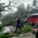 Hujan Badai di Padang Tumbangkan Pohon Timpa Kabel Listrik