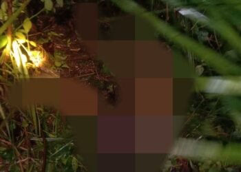 Seorang Pemuda Diduga Diterkam Harimau, Ditemukan Terbujur Mengenaskan