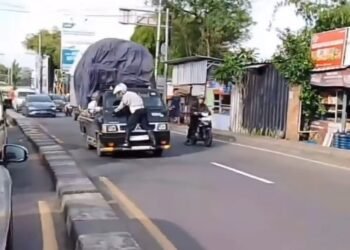 Viral Video Petugas Dishub Terbawa di Kap Mobil Pikap yang Lagi Melaju