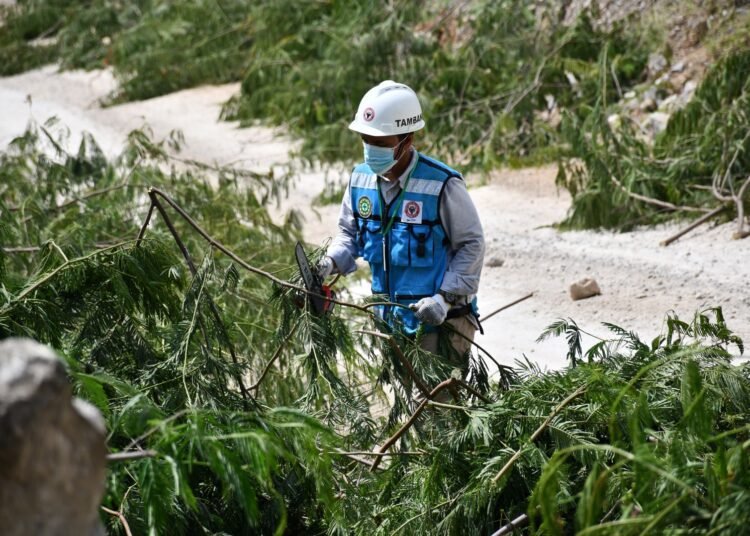 Tanaman Kaliandra sebagai alternatif energi terbarukan di PT Semen Padang. (Foto: Humas PT Semen Padang)
