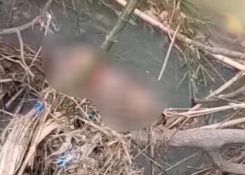 Geger, Video Penemuan Mayat Perempuan di Sungai Padang Pariaman