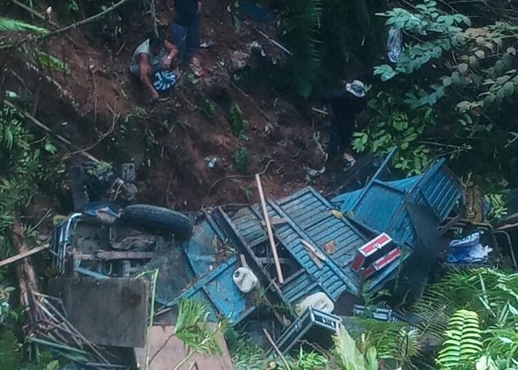 Truk pengangkut organ tunggal masuk jurang di Pasaman.