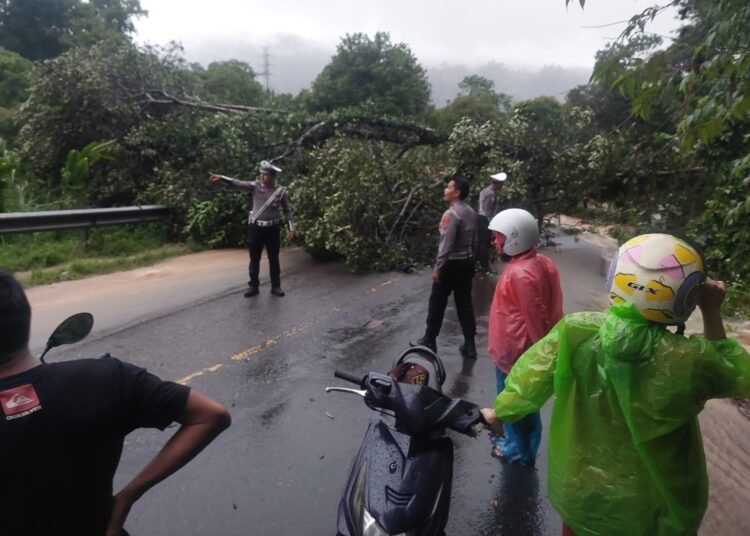 Pohon tumbang dan longsor yang terjadi pada Jumat (17/1/2025) pukul 17.00 WIB menutup jalan lintas Sumatera di Bukit Pulai, Kampung Jalamu, Nagari IV Koto Hilia, Kecamatan Batang Kapas, Pesisir Selatan. FOTO: Dokumentasi Polres Pesisir Selatan.