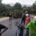 Pohon Tumbang-Banjir di Pesisir Selatan Putuskan Akses Jalan Lintas Sumatera