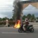 Pemotor Asal Palembang Nekat Bakar Motor di Pasaman Barat gegara Tak Terima Ditilang Polisi