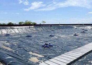 Penurunan Jumlah Tambak Udang di Padang Pariaman, Pemkab Hadapi Tantangan Bekas Galian