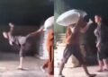 Viral Mandor Tendangi Kuli Saat Angkat Karung