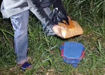 Polisi Temukan 2 Kg Ganja saat Penangkapan Seorang Pedagang Sayur di Agam