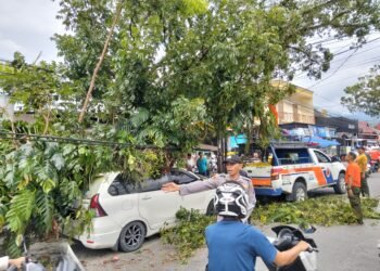 Video: Mobil Tertimpa Pohon Tumbang di Padang