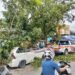 Video: Mobil Tertimpa Pohon Tumbang di Padang