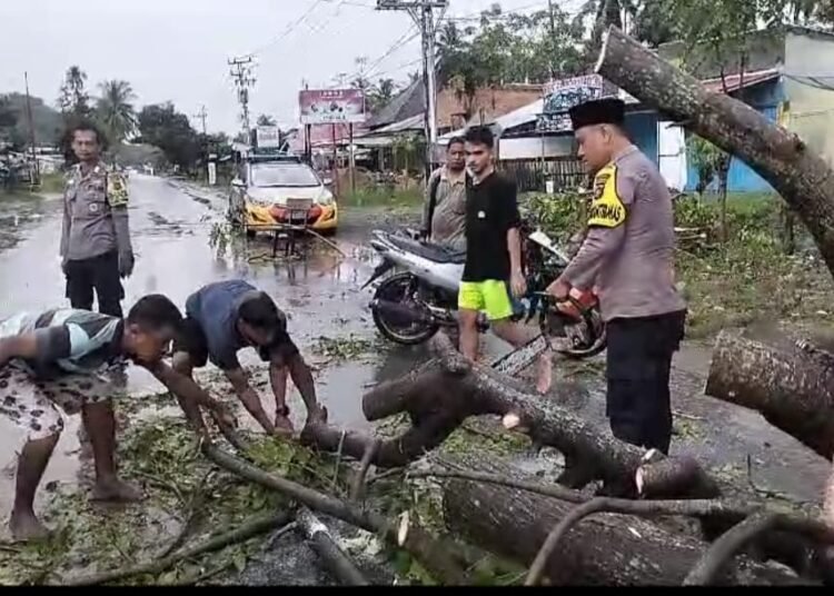 Keterangan foto: Bhabinkamtibmas Polsek Tarusan Polres Pesisir Selatan, Bripka Afrikonaldi, memotong-motong pohon tumbang dengan gergaji mesin bersama warga di Kampung Sawah Liat, Nagari Kapuh Utara, Kecamatan Koto XI Tarusan, Kamis (27/2). Foto: Polsek Koto XI Tarusan.